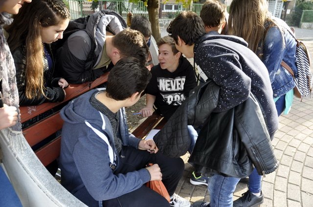 csibetábor az aranyban 21